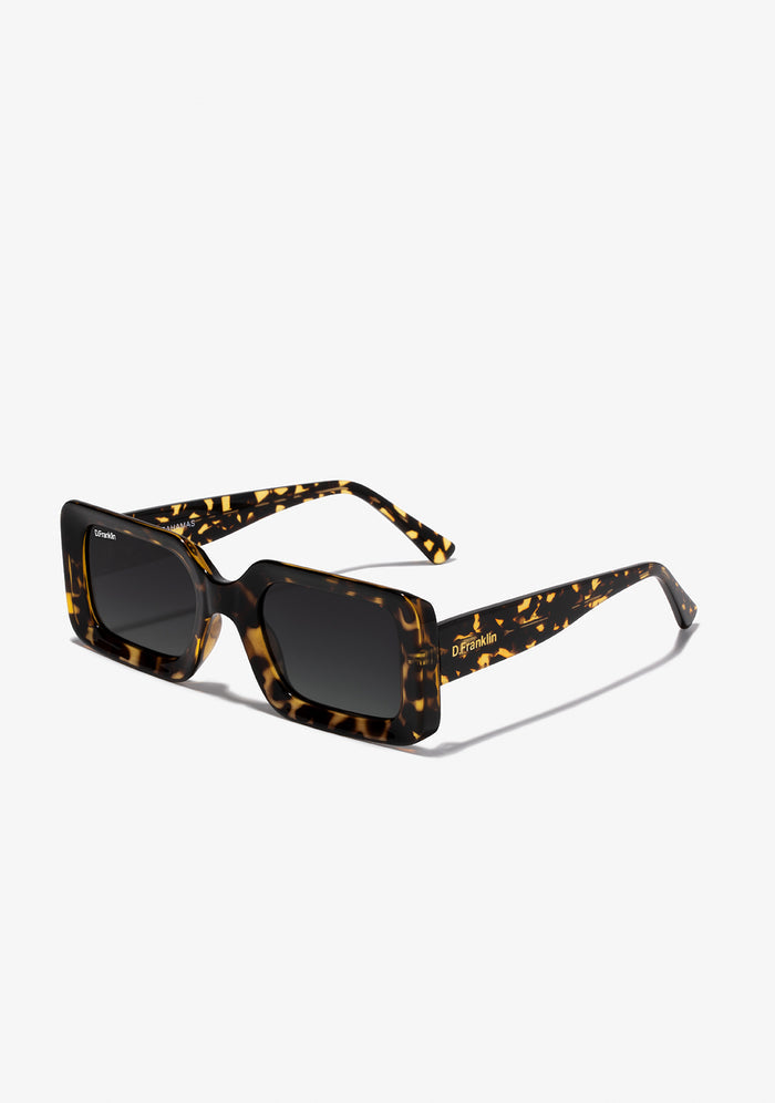 D.Franklin sunglasses BAHAMAS DARK GREY / GRAD BROWN
